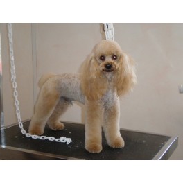Coupe mouton